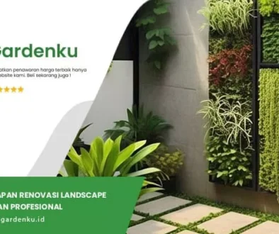 renovasi landscape taman
