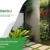 renovasi landscape taman